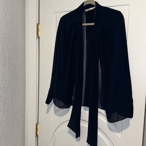Zara sheer navy blouse